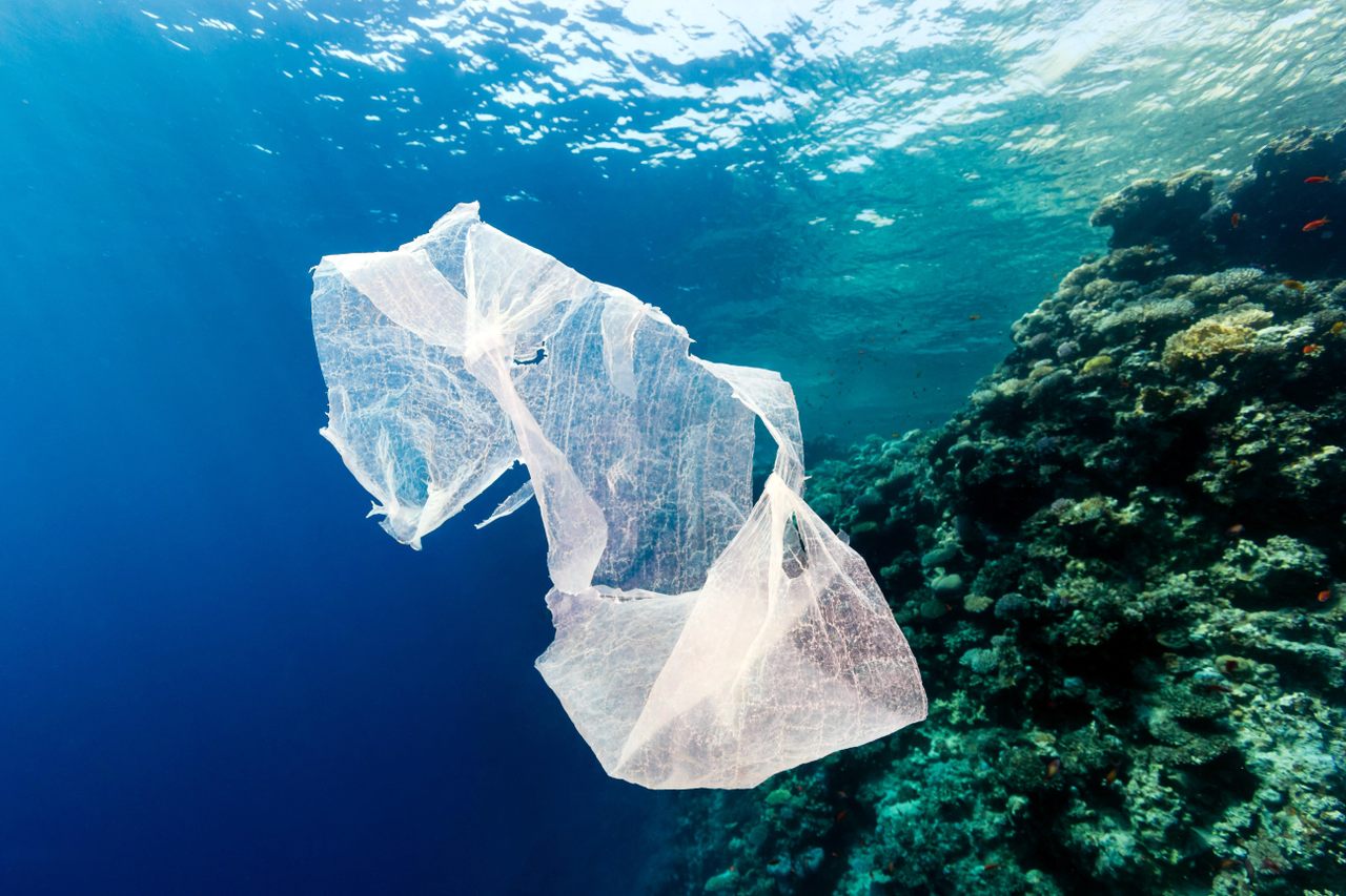 Plastic Pollution: Are We Reaching Our Last Straw?