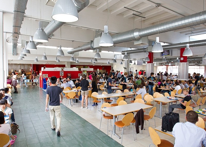 British Summer School at Brunel University