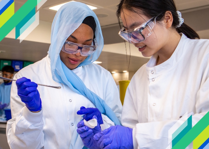 King's College London – Chemistry Summer Program