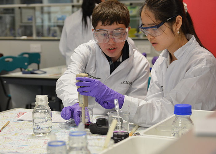 The Royal Institution Summer Schools