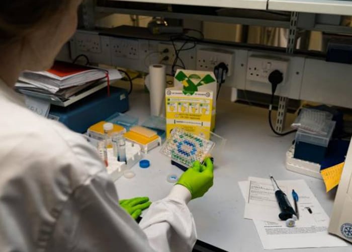 UCL – Young Scientists Summer Program